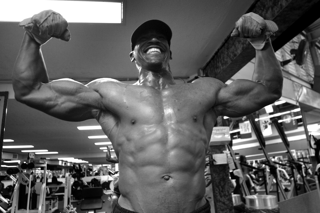 muscles weights gym